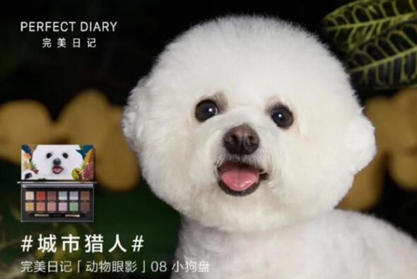撸猫逗狗就能躺赢？聊聊宠物博主的赚钱经