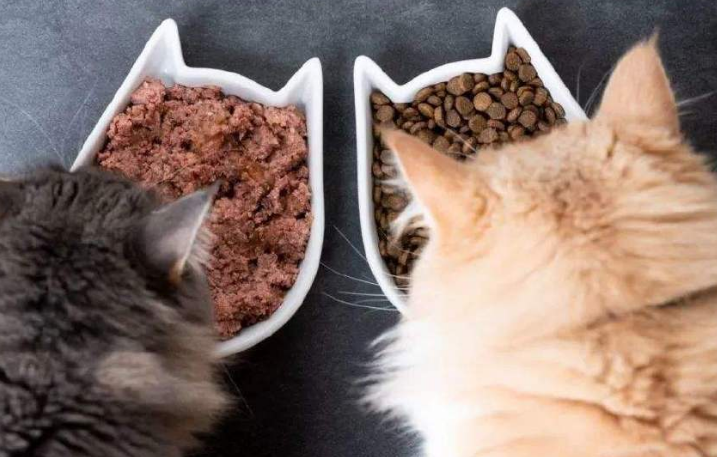 想帮猫咪换粮、吃鲜食或添加营养品?