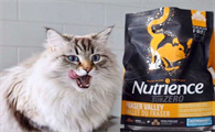 地表最强猫粮，纽翠斯是怎么做到的？