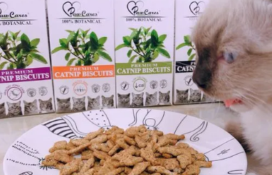 柏可心宠物食品怎么样？不妨来看看吧