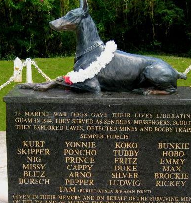 传说诞生于希特勒实验室的猛犬，却为美军屡建功勋，被立雕像纪念 