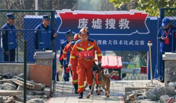 甘肃消防荣获第七届全国消防搜救犬技术比武竞赛团体第一