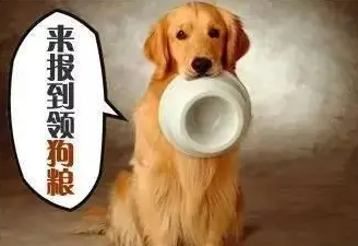你知道狗狗每天吃多少零食比较合适吗？