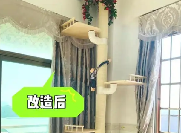 猫爬架怎么做