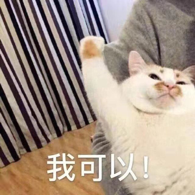 选猫粮不用愁，靓贝猫粮你值得拥有！