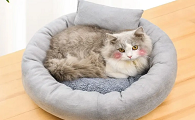 买猫窝=买闲置，你的猫真的喜欢睡猫窝么？