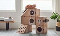 猫咪定制3层小别墅，做法简单速来看！