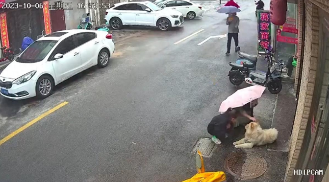 女子路边逗狗遭撕咬满脸是血，警方已介入，律师：若未拴绳狗主人将担责