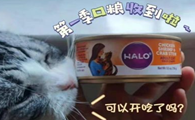 国际知名宠粮Halo自然光环携手超模赵磊，一同为生命“点亮光环”