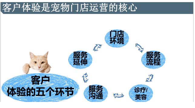 干货满满 | “海洋之星”杯第三届猫掌柜大会精彩回顾来了！ 