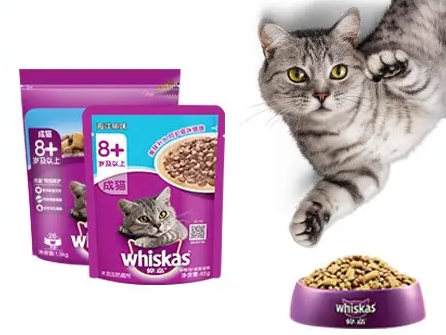 伟嘉猫粮｜猫咪换粮怎么做？科学方法get起来