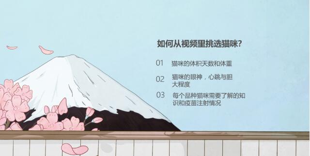 干货满满 | “海洋之星”杯第三届猫掌柜大会精彩回顾来了！ 