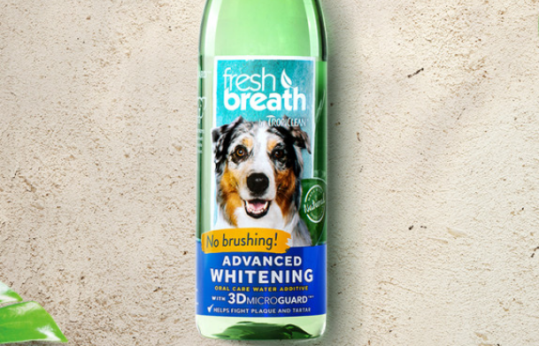 多美洁洁齿水，真能解决狗的口腔问题吗？