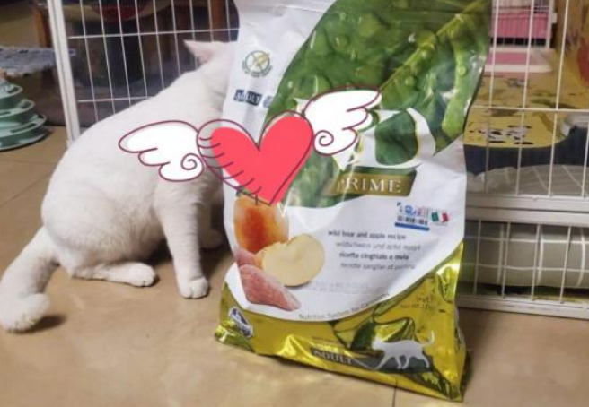 无语子！我家猫竟然对着法米娜猫粮“埋屎”！