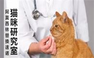 猫感冒了，怎么用阿莫西林替代速诺？