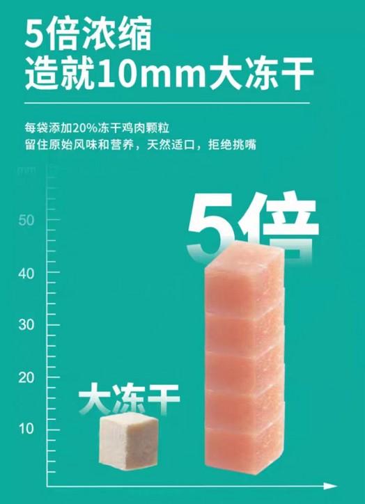 天气炎热猫咪厌食怎么办？试试凯锐思冻干鸡肉无谷双拼猫粮