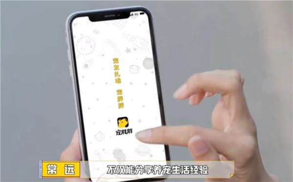 养宠APP宠胖胖异军突起 赞助优酷《麻花特开心》开启养宠新捷径