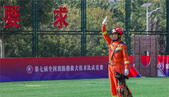 甘肃消防荣获第七届全国消防搜救犬技术比武竞赛团体第一