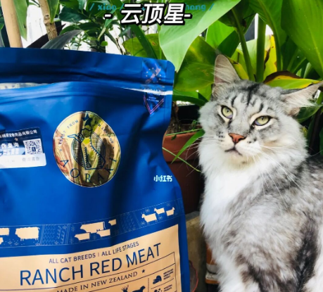 云顶星全价猫粮适口性测评