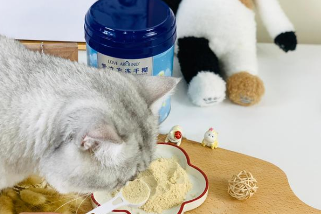 亲测国货之光爱立方的新产品：给猫咪吃的“米糊”——冻干糊