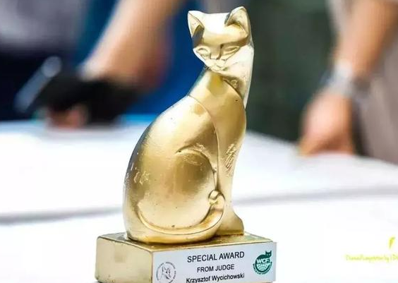 天津2019CAAC国际展，盖夫陪你沉迷猫界盛世美颜
