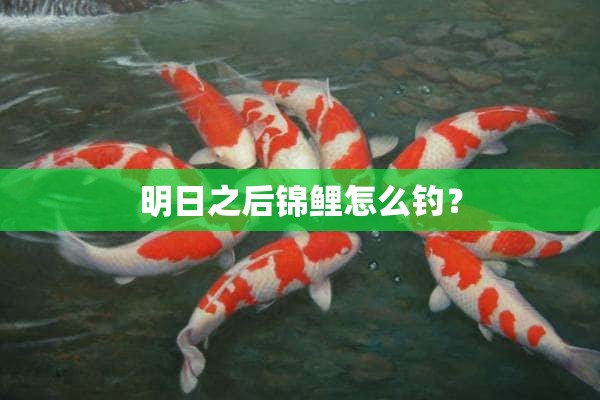 明日之后锦鲤怎么钓？