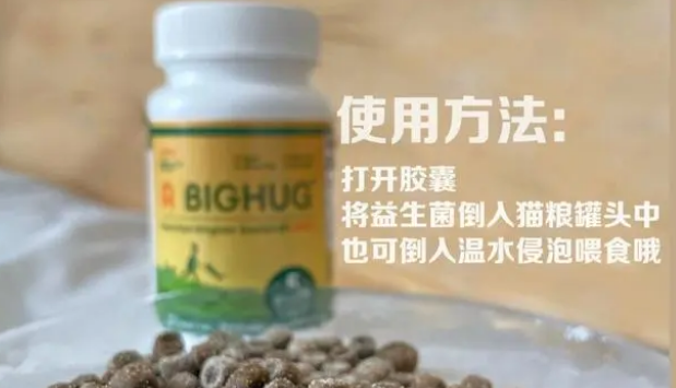 宠物益生菌怎么选，看好布拉迪益生菌！