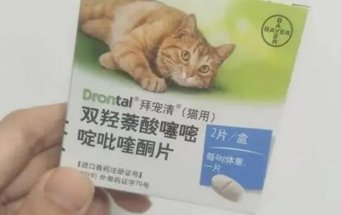 猫咪体内驱虫这样做，新手也不用愁了