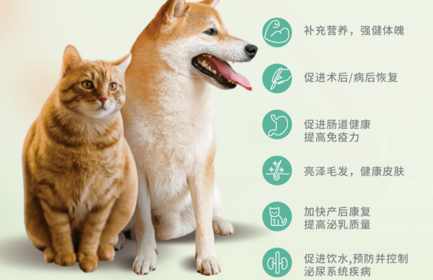 专注研究犬猫营养液13年——Viyo唯优来了！