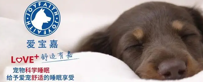 爱宝嘉——宠物健康睡眠正确方式