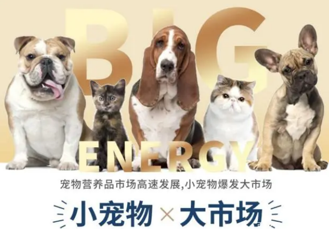 国内知名学府孵化“金南农”项目，引领宠物保健品市场蓝海