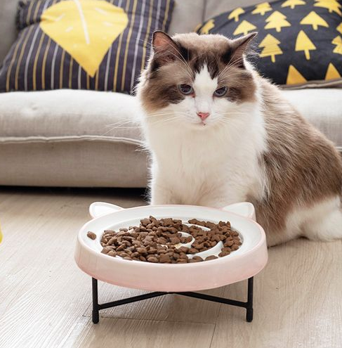 nulo猫粮帮助猫咪塑造健康体魄