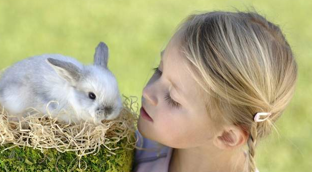今日科普：兔子眼睛发炎发脓用什么药？