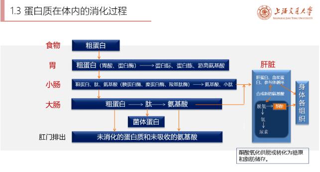 干货满满 | “海洋之星”杯第三届猫掌柜大会精彩回顾来了！ 