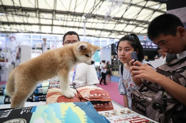 带你逛22届亚洲宠物展！纽顿犬猫粮人气超火爆