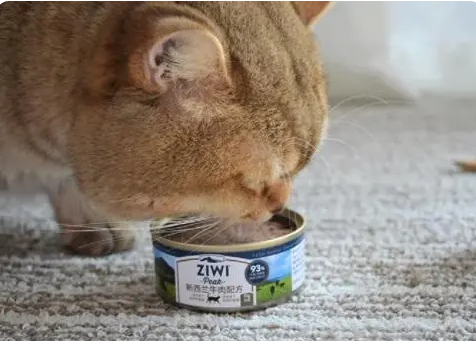 猫咪主食罐头和零食罐头性质不同，几天喂一次呢？