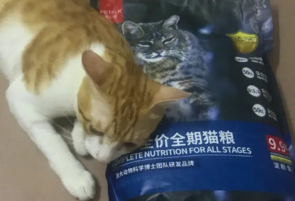 国产猫粮天花板50%蛋白｜PETALK宠心语