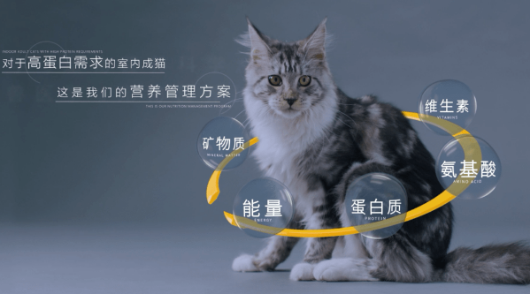提出“6重安全保障体系”，信元发育宝发布全新“高透明”至真元食系列猫粮 