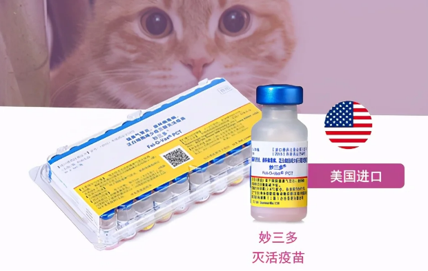 妙三多疫苗 为猫咪的安全保驾护航