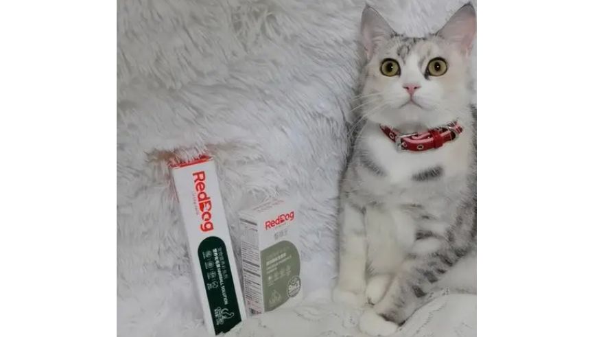 优宠乐——猫用化毛膏品牌怎么选