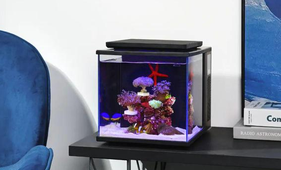 将水族缸懒人化、智能化，融资数千万，海享说怎样把景观家居做成一门好生意
