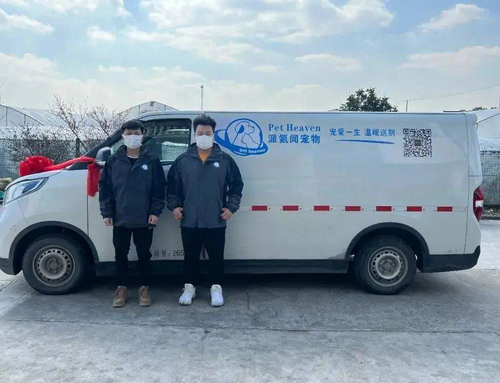 融资丨宠物殡葬服务商派氦闻宠物获数百万元天使轮融资 
