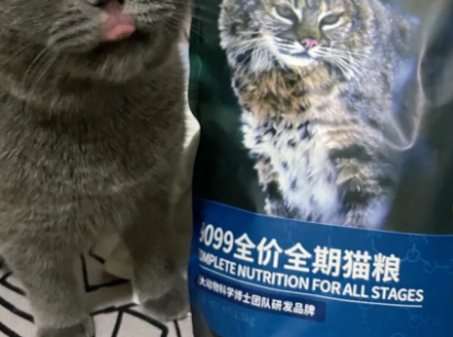 petalk宠心语开启低温膨化粮新时代